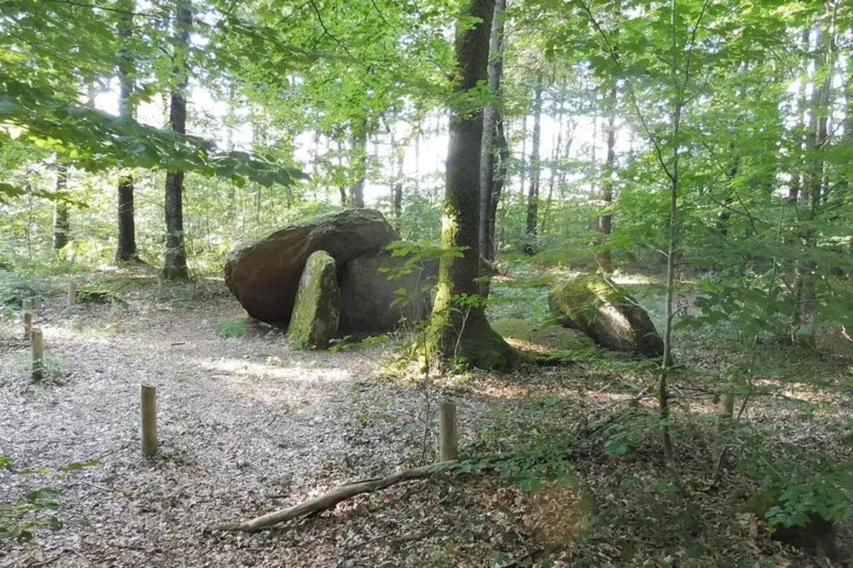 Во французских курганах нашли скрытые гигантские каменные фигуры