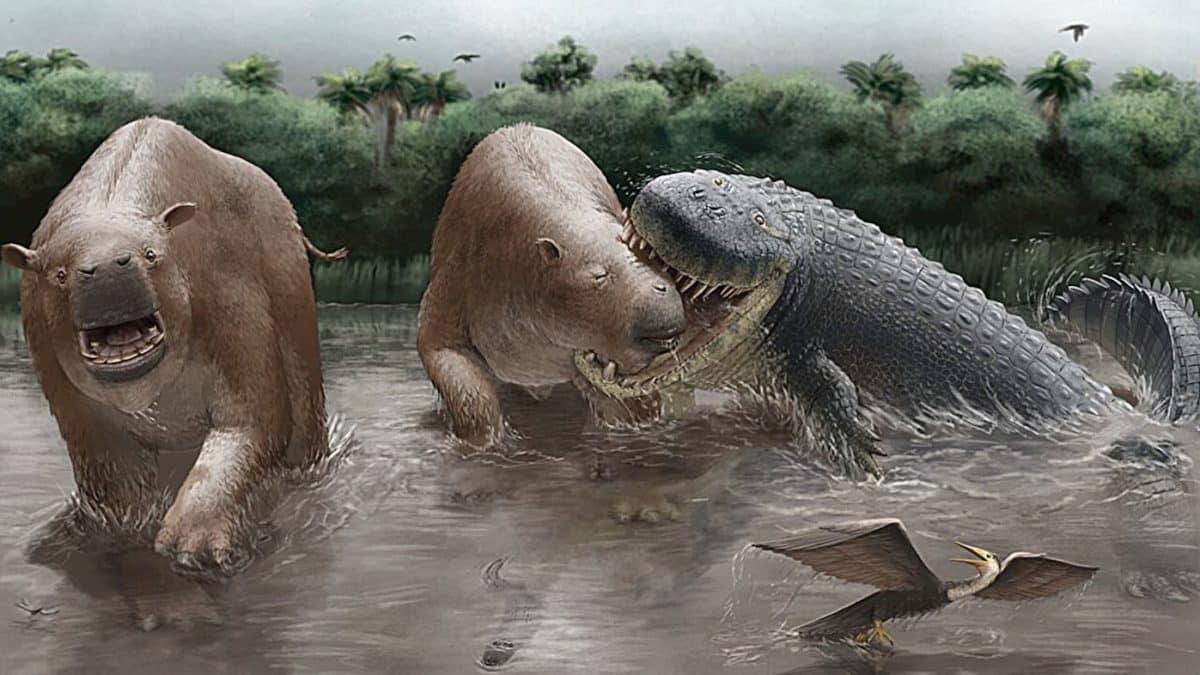 Гигантские крокодилы в миоцене Южной Америки