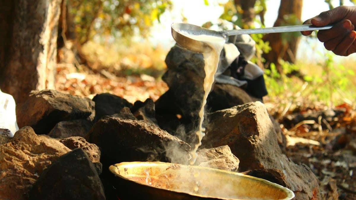 Углеводы, а не мясо, стали драйвером эволюции мозга