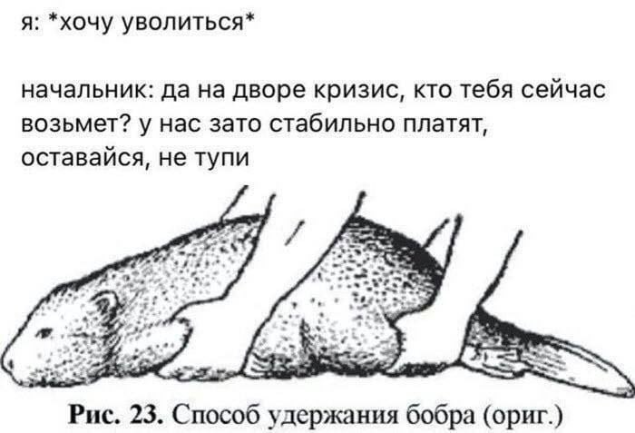 Уроки десятилетнего опыта в разработке ПО
