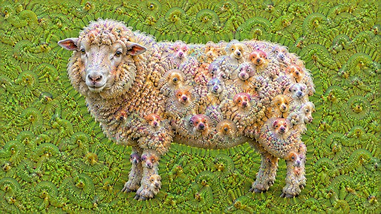 Как нейросети учат ложные корреляции: урок DeepDream