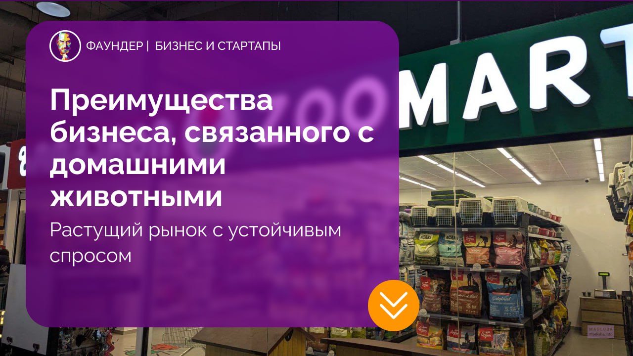Перспективы бизнеса в сфере зоотоваров в России
