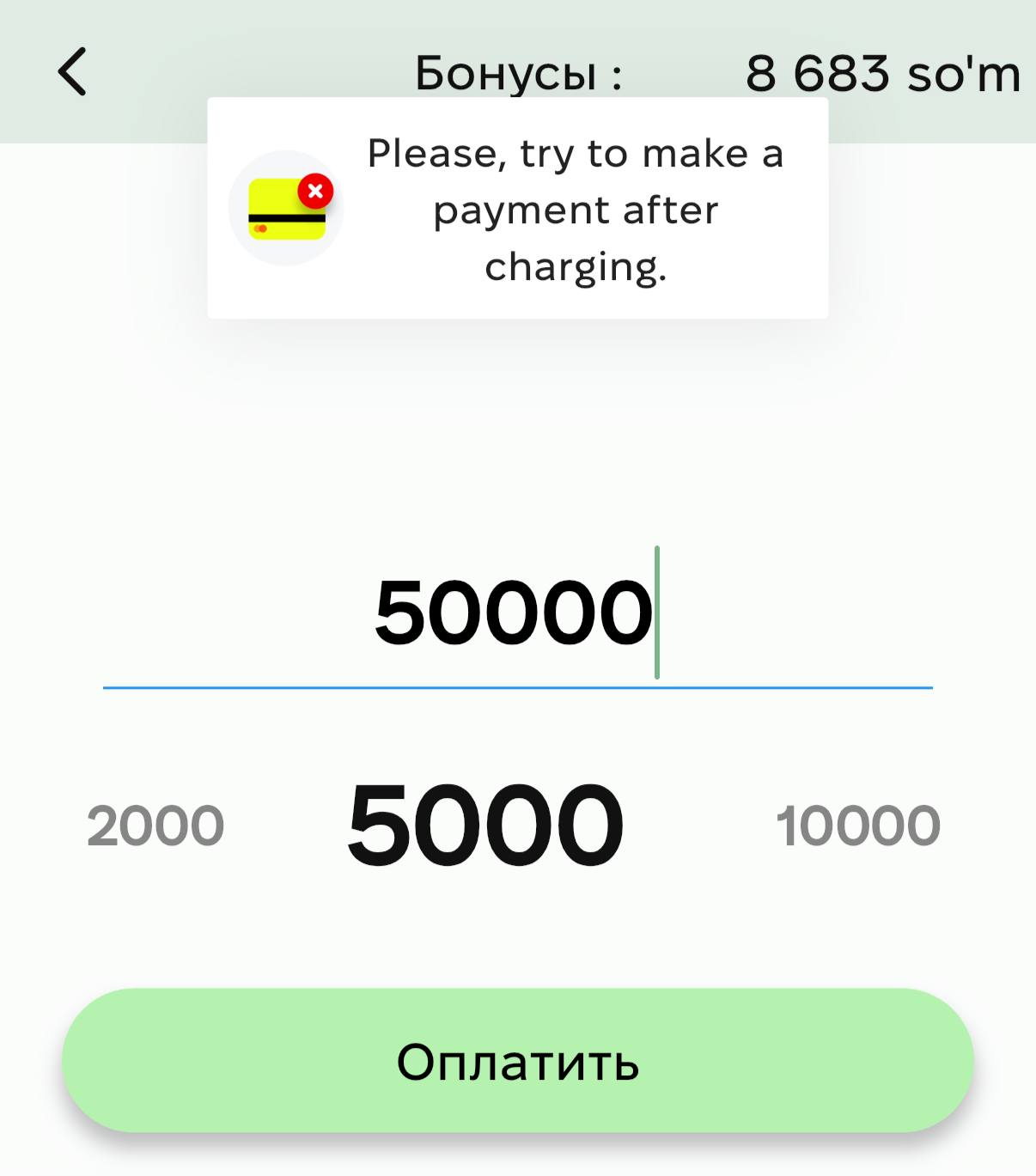 Проблема с пополнением баланса во время зарядки электромобиля