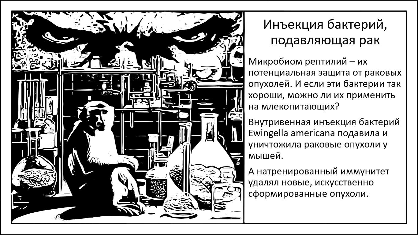 Японские ученые исследуют бактерии для борьбы с раком