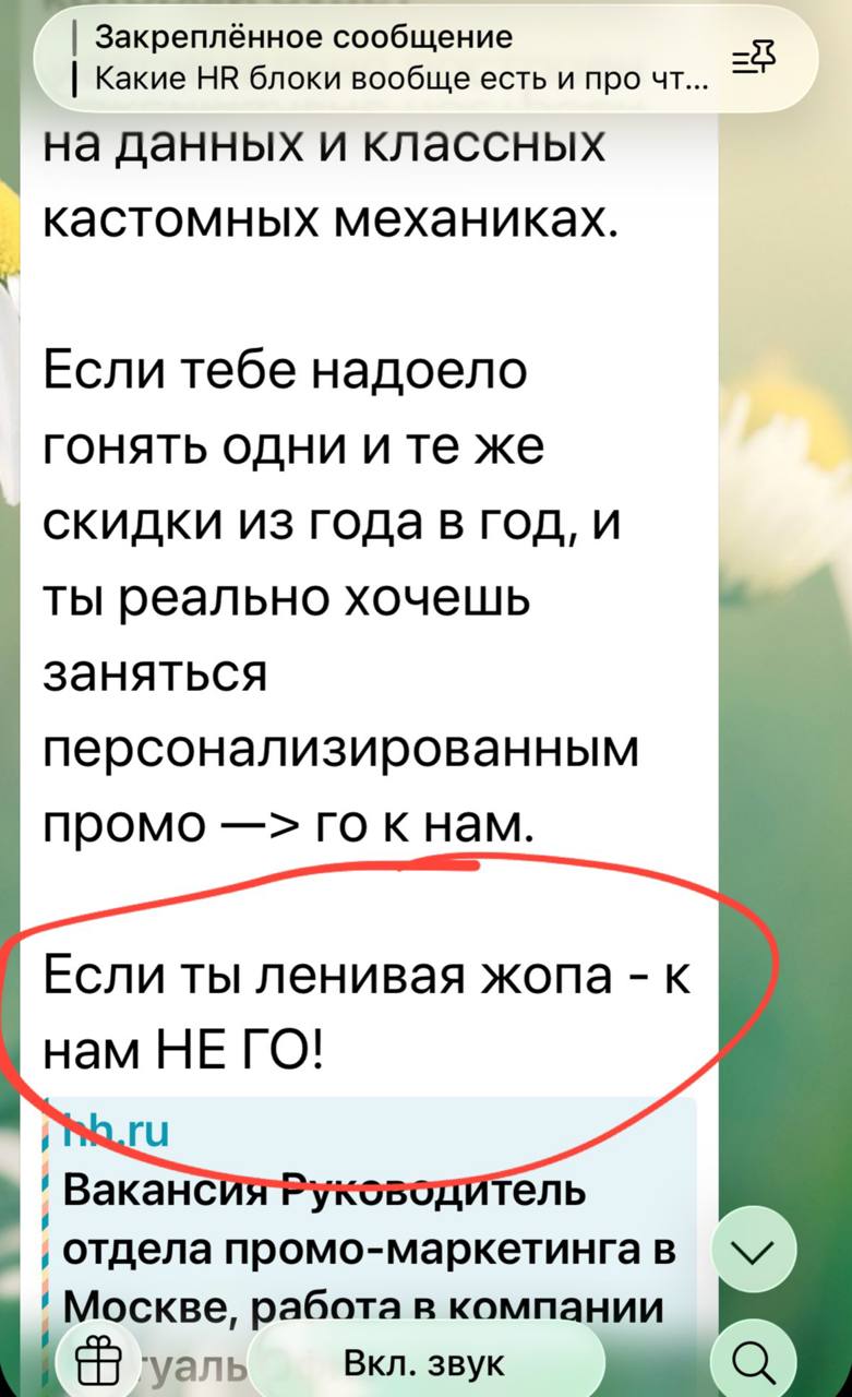 О важности культурного соответствия при поиске работы