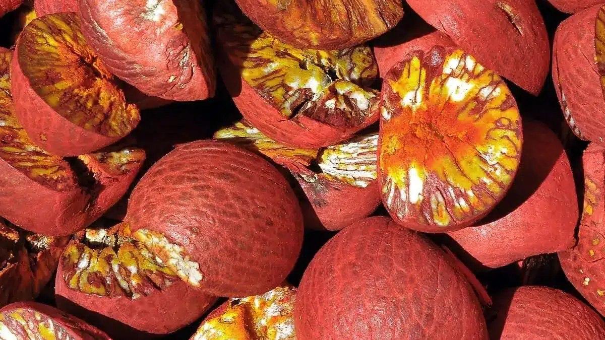 Люди начали употреблять психоактивные вещества 12 тысяч лет назад
