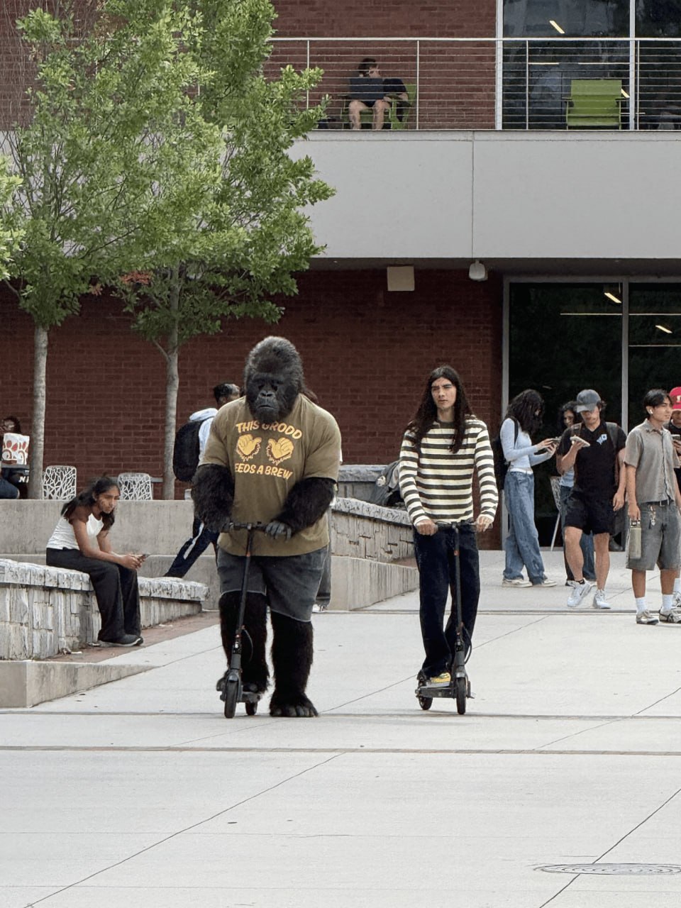 HBO разрабатывает сериал The People v. Gorilla Grodd