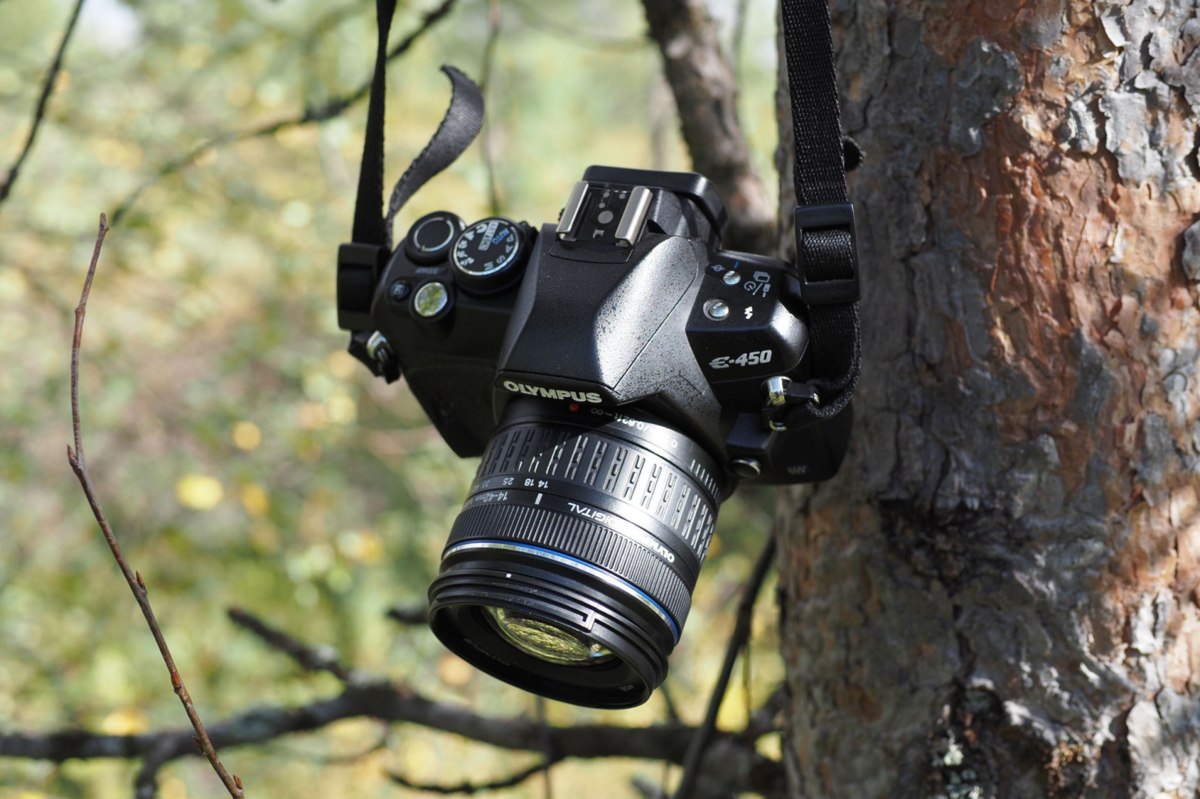 Olympus E-450: обзор компактной зеркалки