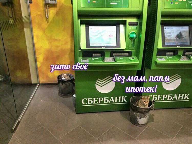 Пополнение карт через СБП в любых банкоматах с 1 октября