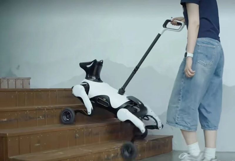 В Китае разработали робота-поводыря Xiaoyuan