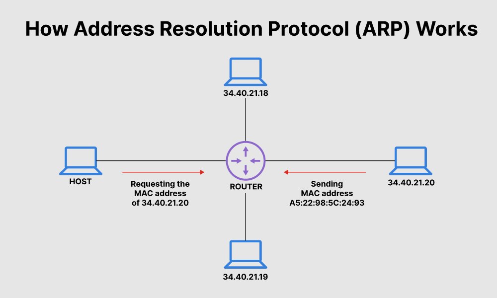Что такое протокол ARP и как он работает