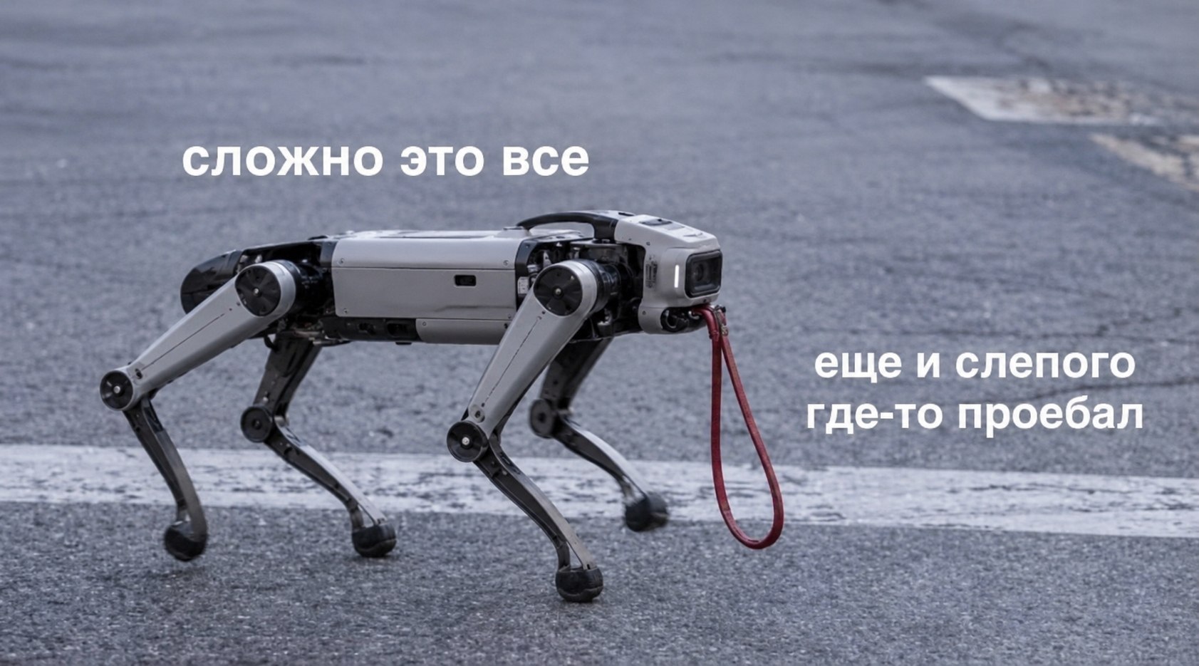 В Китае тестируют роботов-поводырей для помощи слабовидящим
