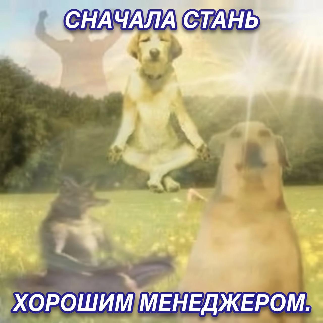 Работа с AI-агентами как менеджмент