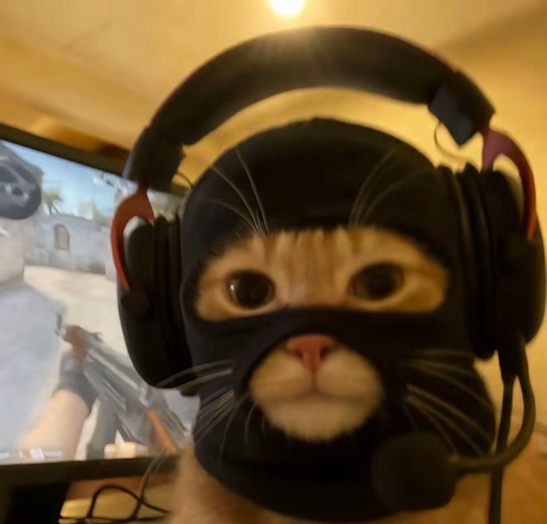 Три года с момента релиза Counter-Strike 2