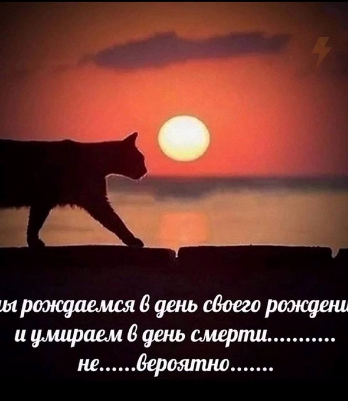 Мысли о переработках