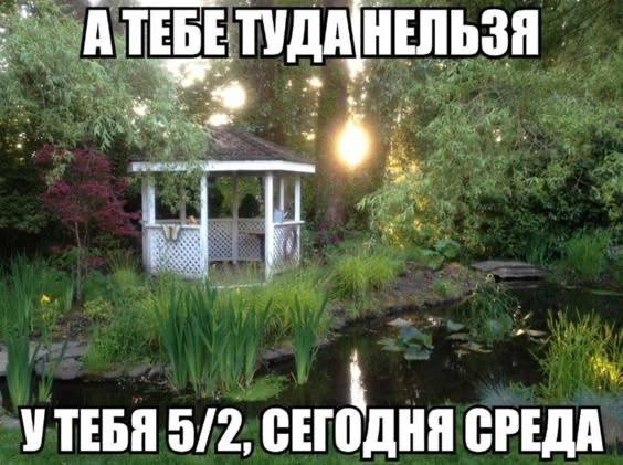 Напоминание о запуске собственных проектов