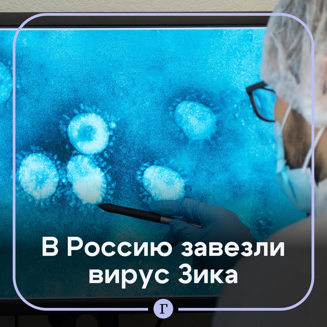 У россиянки после поездки на Бали выявили вирус Зика