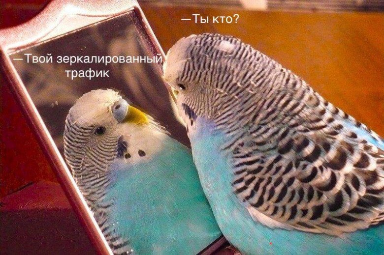 Реализация зеркалирования трафика в OVN для K2 Cloud