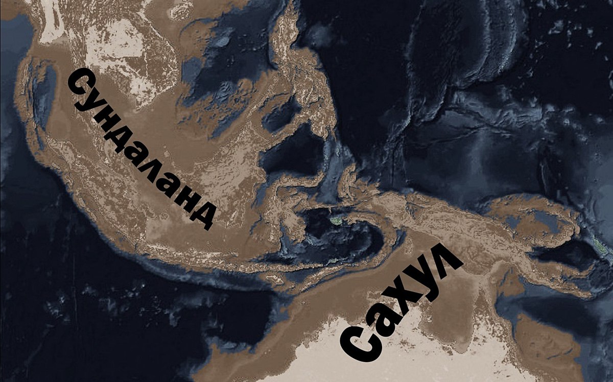 История раннего мореплавания