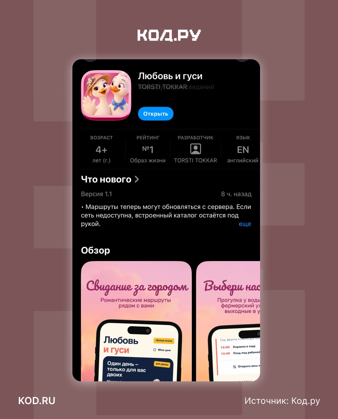 Приложение Россельхозбанка вернулось в App Store под названием «Любовь и гуси»