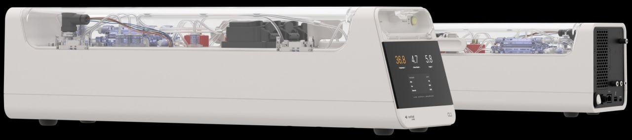 Сеть биокомпьютеров Cortical Labs превзошла алгоритм ИИ в двух задачах