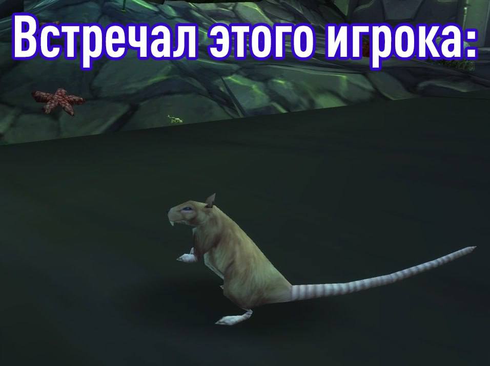 Муж удалил экипировку жены в World of Warcraft из-за ревности
