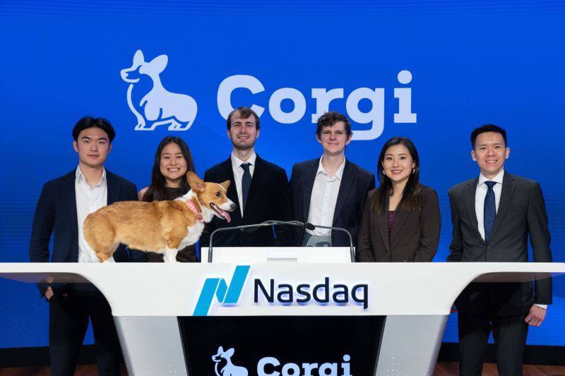 Corgi: страховой стартап с необычным маркетингом