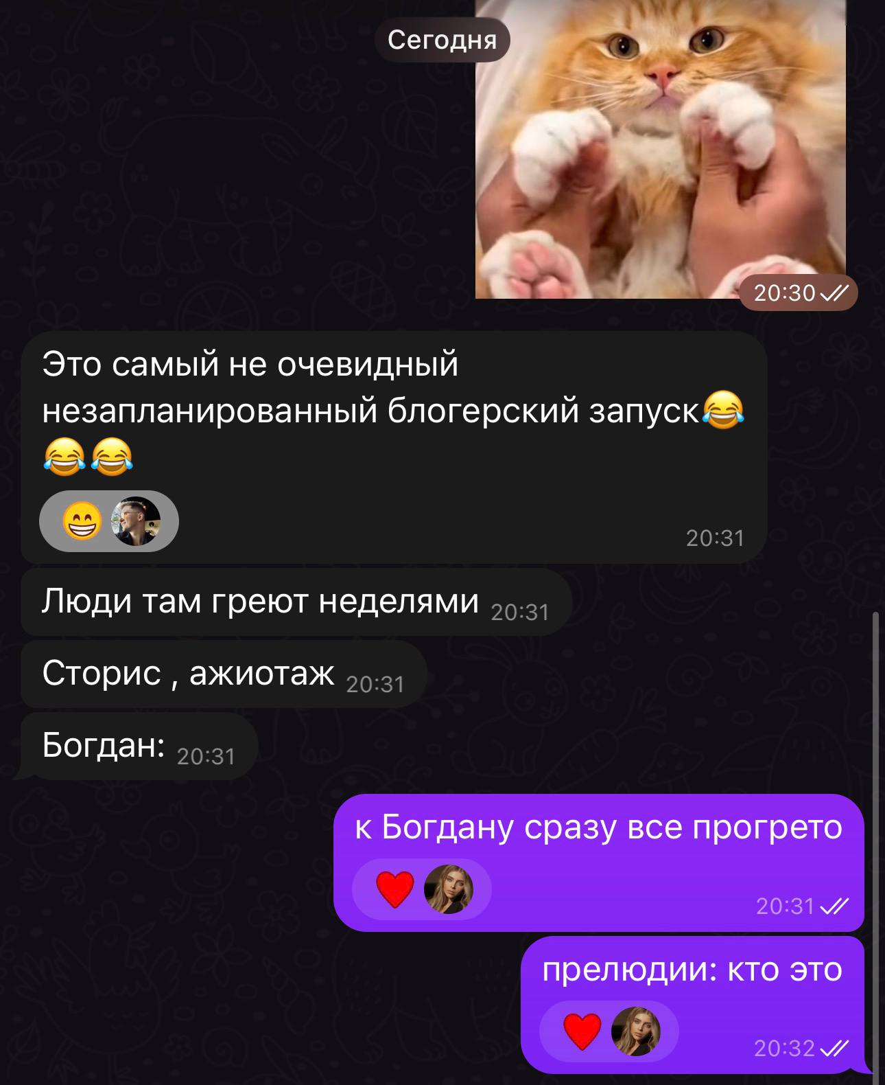 Плейбук обогнал продажи вайба за 5 часов