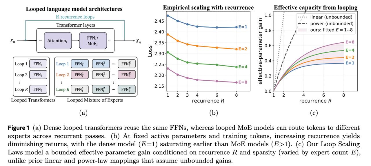Scaling Laws for Looped Mixture of Experts