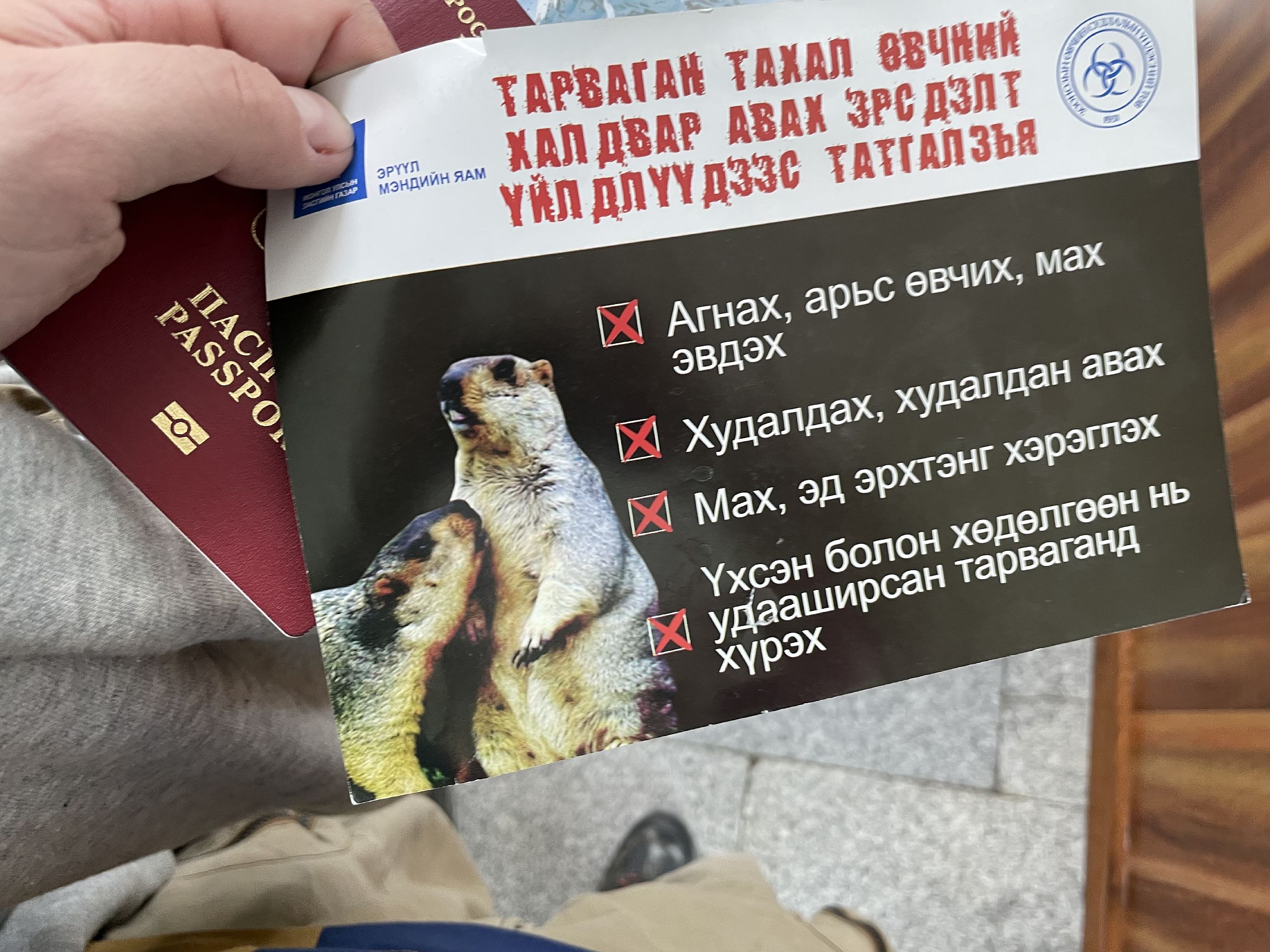 Анализ рисков распространения чумы в Иркутске